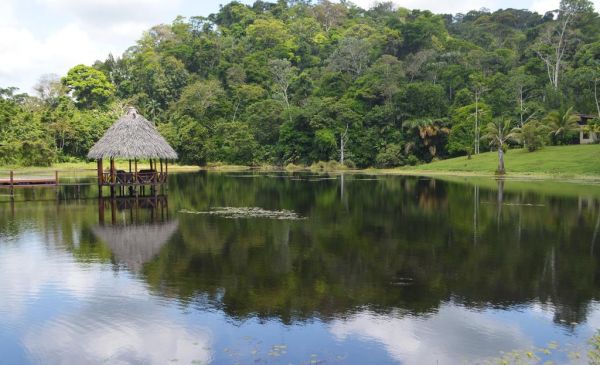 Boca Tapada: Maquenque Ecolodge