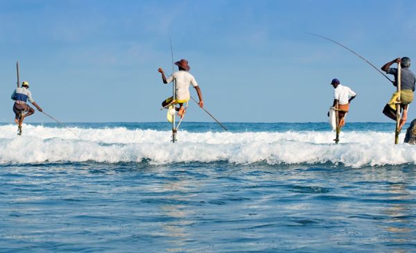 Veelzijdig Sri Lanka