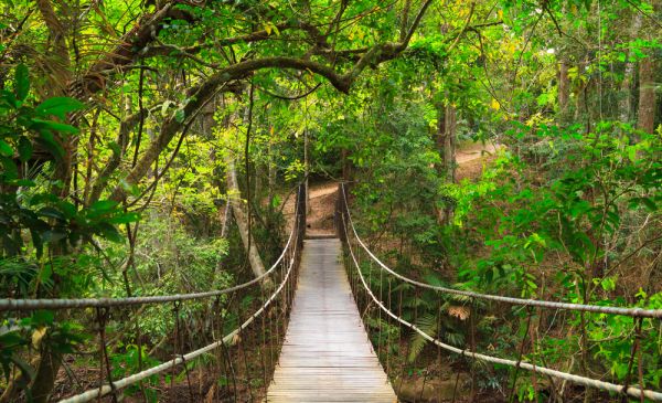 Khao Yai