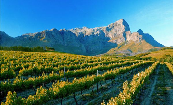 Franschhoek