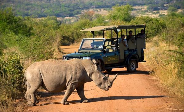 Het Kruger Wildpark 