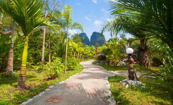 Khao Sok: The Khao Sok Hotel & Spa