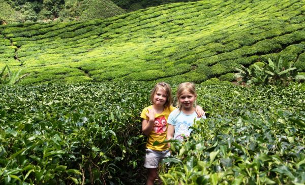 Cameron Highlands