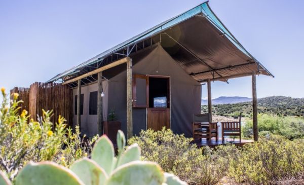 Oudtshoorn: Buffelsdrift Game Lodge