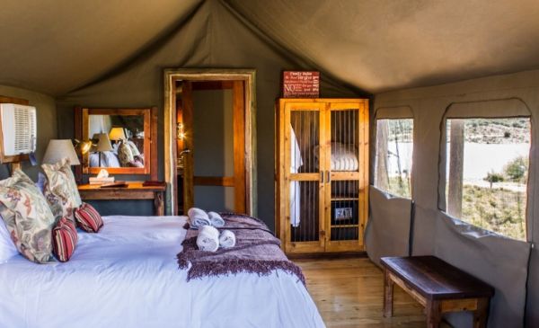 Oudtshoorn: Buffelsdrift Game Lodge