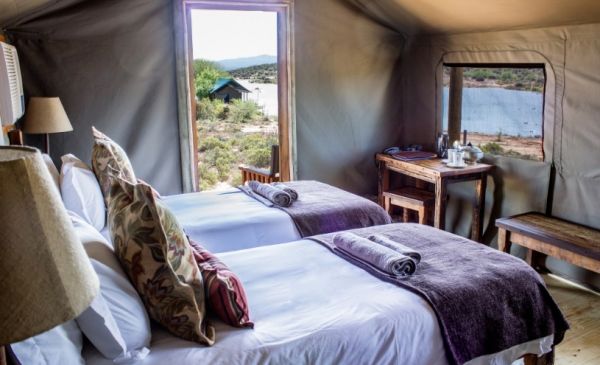 Oudtshoorn: Buffelsdrift Game Lodge