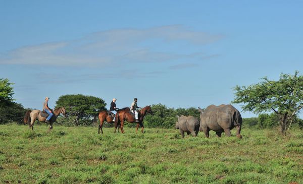 Hluhluwe: Falaza Game Park