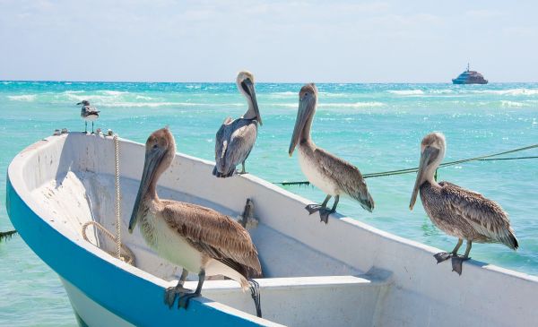 Isla Holbox