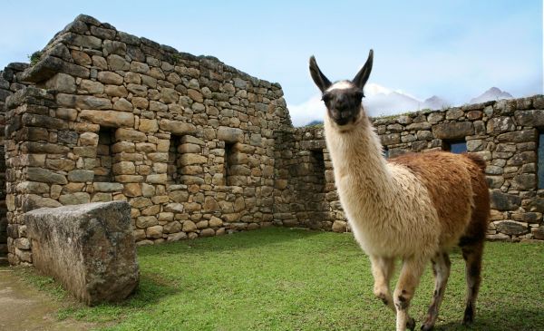 Machu Picchu