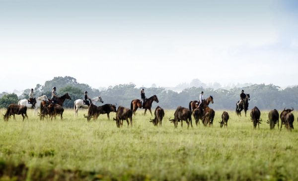 Swaziland: Mlilwane Wildlife Sanctuary