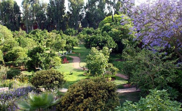 Rabat: La Villa Mandarine