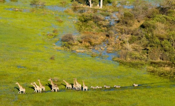 Okavango Delta