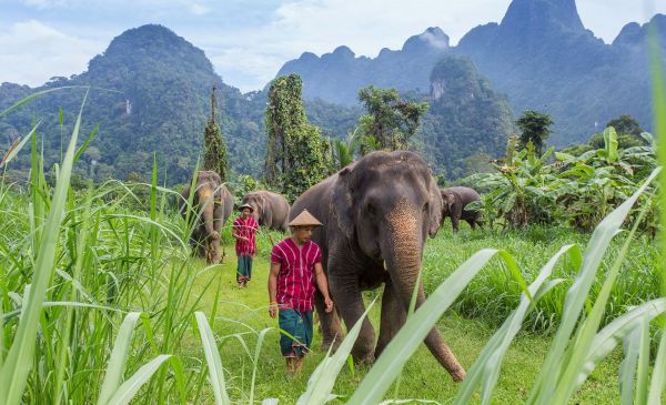 Khao Sok Nationaal Park