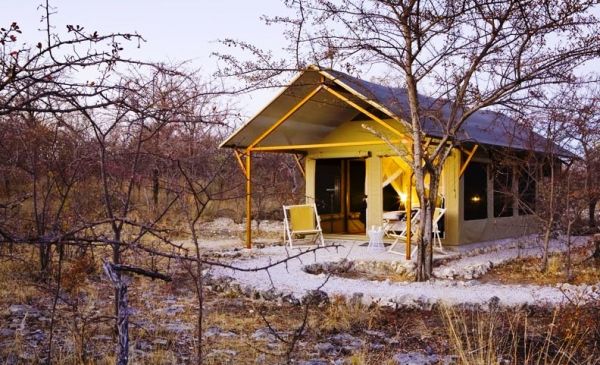 Etosha Oost: Mushara Bush Camp