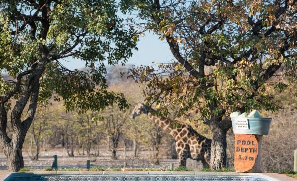 Etosha Zuid: Andersson's Camp