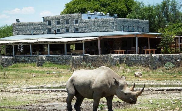 Etosha Zuid: Andersson's Camp