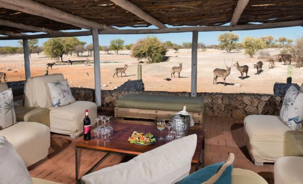 Etosha Zuid: Andersson's Camp