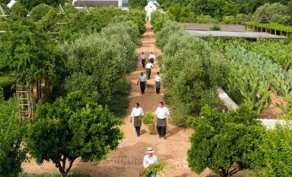 Franschhoek: Babylonstoren Farm Hotel