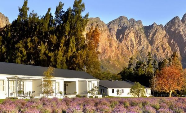 Franschhoek: Lavender Farm Guesthouse