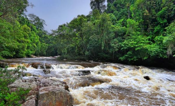 Taman Negara 