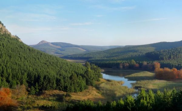 Swaziland: Forester Arms