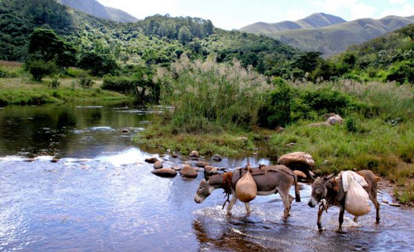 Swaziland: Forester Arms