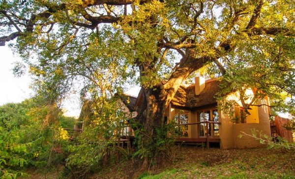 Kruger: Shishangeni Lodge