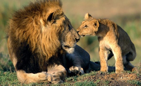 Marloth Park (nabij het Kruger Wildpark)