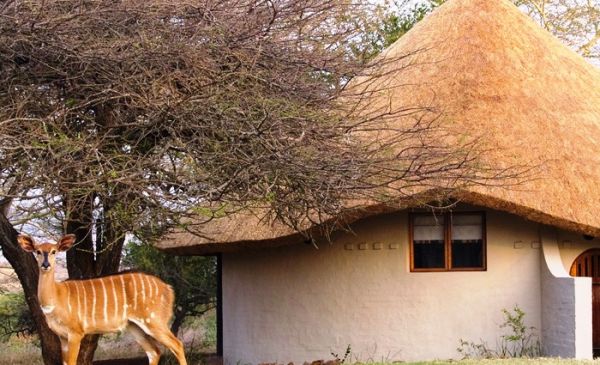 Hluhluwe: Zululand Safari Lodge - gesloten
