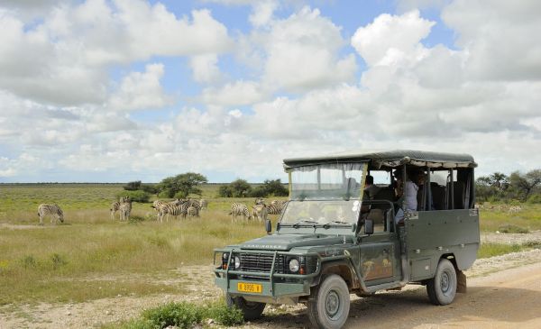 Etosha Zuid: Taleni Etosha Village