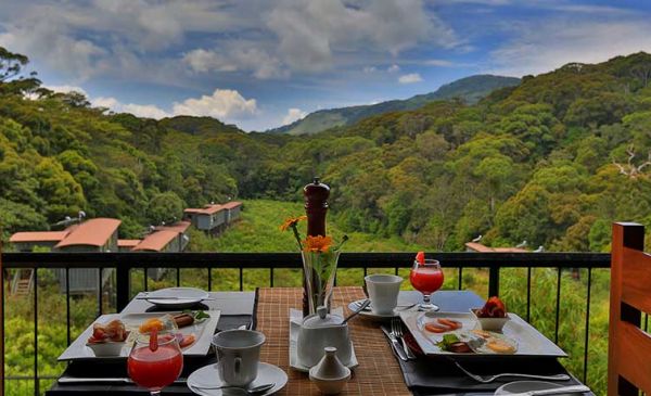 Sinharaja: Rainforest Eco Lodge