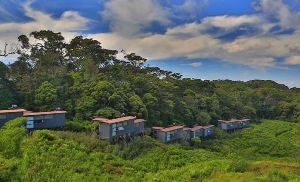 Sinharaja Forest Reserve: Rainforest Eco Lodge
