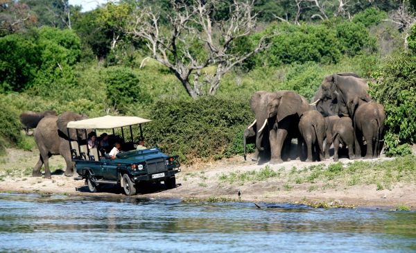 Kasane: Chobe Safari Lodge