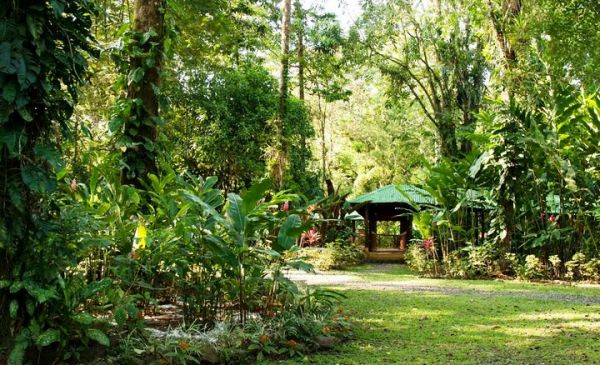 Sarapiquí: Selva Verde Lodge