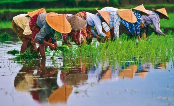 Veelzijdig Vietnam 