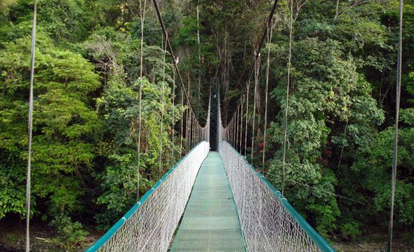 Sarapiquí: Selva Verde Lodge