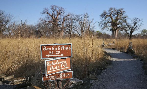 Makgadikgadi: Planet Baobab - Meerkat Mania