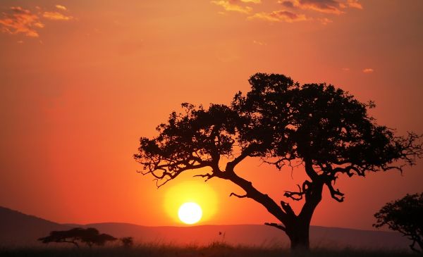 Luxe honeymoon naar Zuid-Afrika