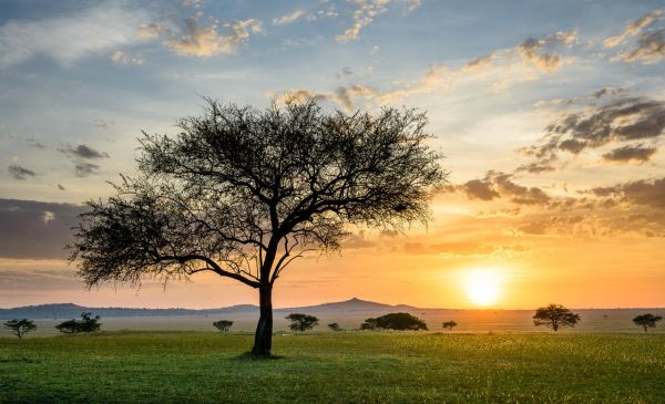 Terugvlucht en thuiskomst