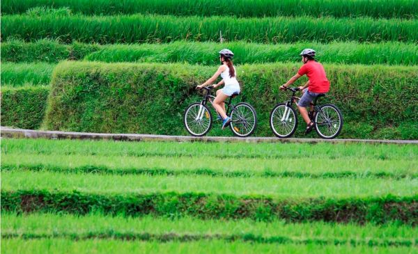 Ubud 