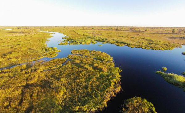 Okavango Delta: Moremi Crossing Camp