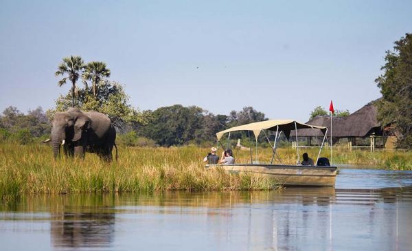 Okavango Delta: Moremi Crossing Camp