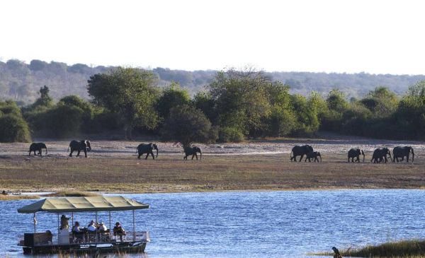 Chobe: Chobe Game Lodge