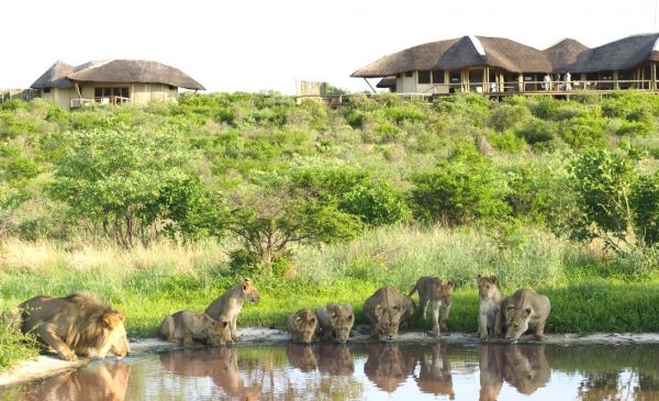 Central Kalahari: Tau Pan Camp