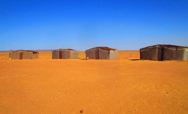 Mhamid - woestijn: M'Hamid desertcamp