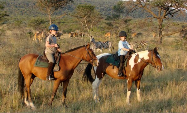 Met de kinderen op safari door Zuid-Afrika!