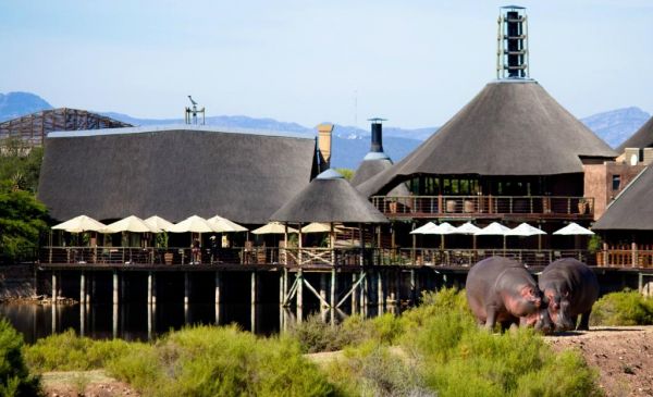 Oudtshoorn: Buffelsdrift Game Lodge