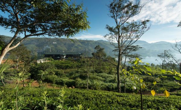 Nuwara Eliya: Ceylon Tea Trails