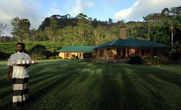 Nuwara Eliya: Ceylon Tea Trails