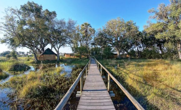 Okavango Delta: Oddballs Camp